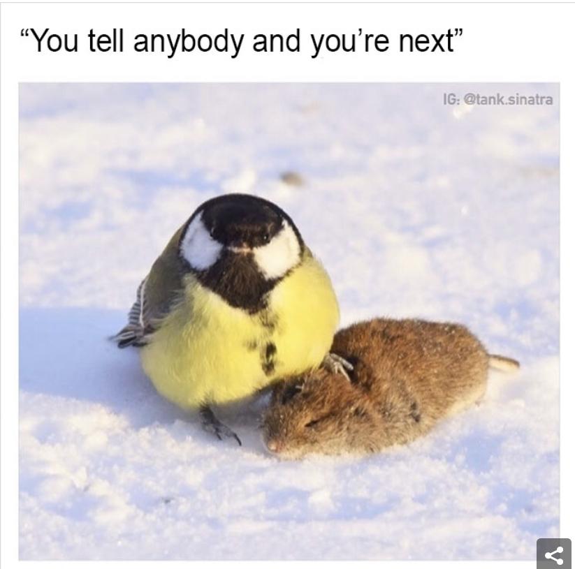 25 More Funny Clean Memes 2