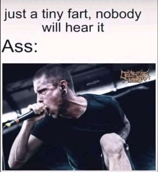 08929b4436dbbbb8-jpeg.93447