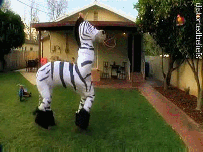 tumblr_lztpmqDIh21qb2aec.gif