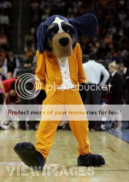 SMOKEY.jpg