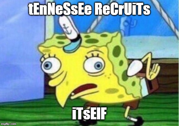 31trf6.jpg