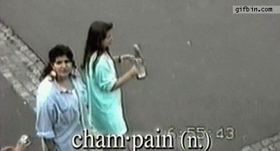 giphy.gif