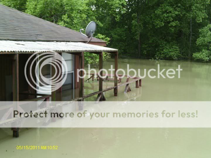 Cabin2.jpg