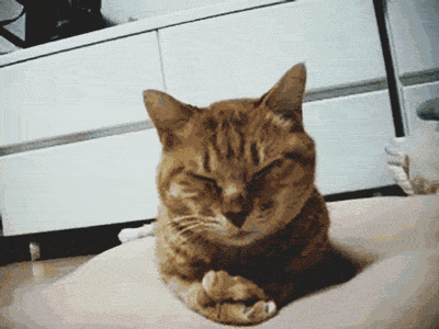 15ZH1LM.gif