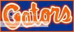 GatorAv-13.jpg