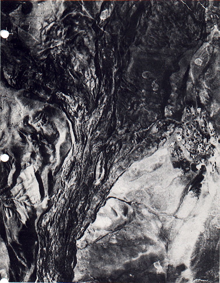 Durupinar19591.jpg