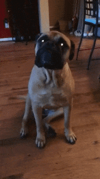 200w.gif