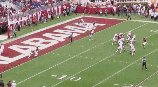 tenpicks.0.gif