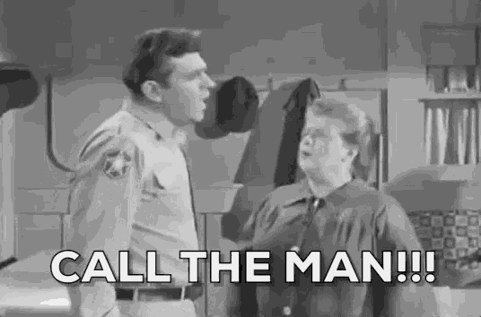 calltheman-auntbee.gif