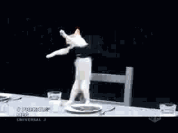 tumblr_inline_obk805ttVV1raprkq_500.gif