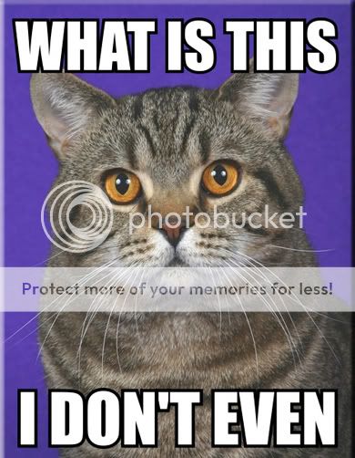 i_dont_even_cat.jpg