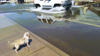 ZnG6by7.gif