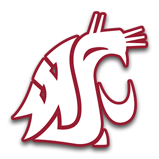 washington_state.png