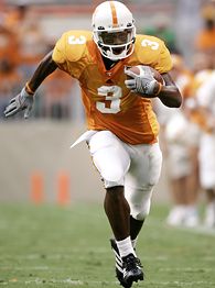 nfl_a_meachem_195.jpg