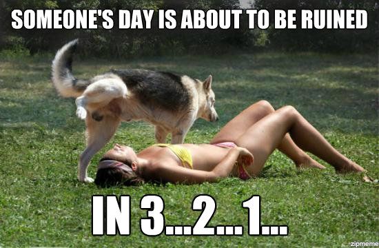 dog-about-to-pee-on-girl.jpg