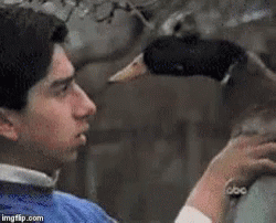 duck-bite.gif