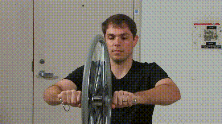 giphy.gif