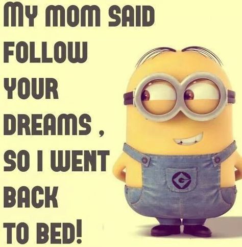 1d9b90c8d9cb63890c0994b70c32711d--humor-minion-funny-minion.jpg
