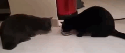 GRXSlsN.gif