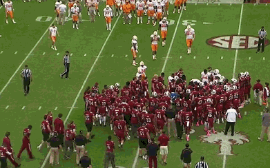 crowdfield.gif