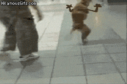 RrlVWel.gif