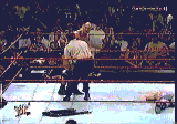 stunner.gif