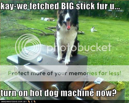 hotdogmachine.jpg