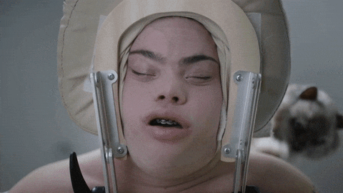 giphy.gif