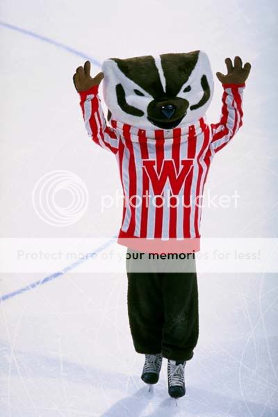 buckybadgeronice.jpg