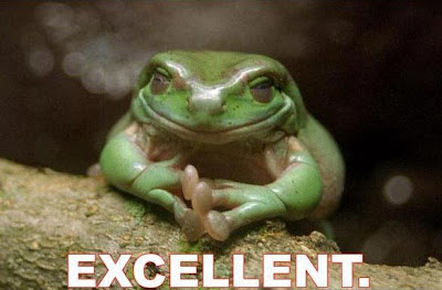 frog-excellent-1.jpg