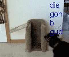 200.gif