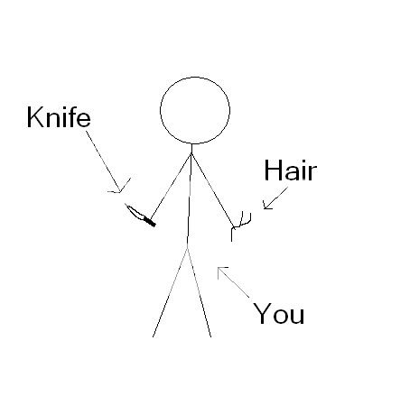splittinghairs.jpg