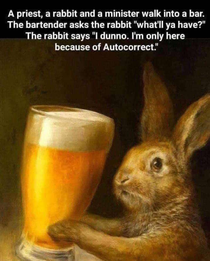 upload_2022-7-22_0-15-9-jpeg.93080