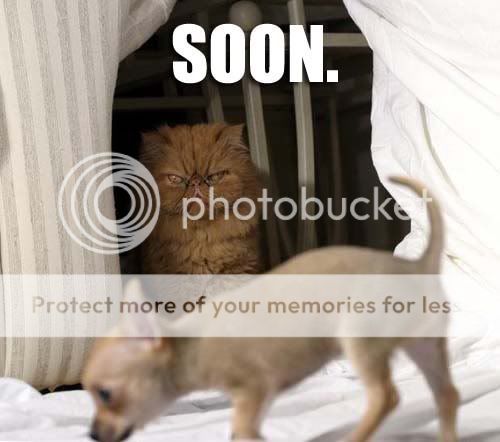soon.jpg