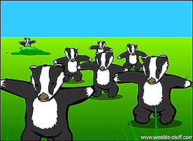 badger.gif