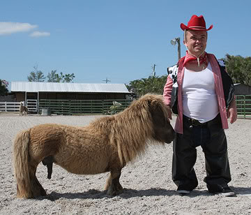 midgetpony.jpg