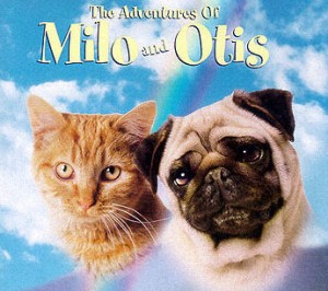 milo-and-otis2-300x266.jpg