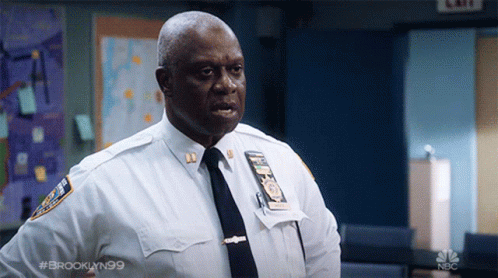 censored-captain-ray-holt.gif