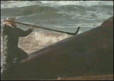 giphy.gif