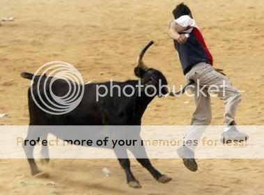 bull.jpg
