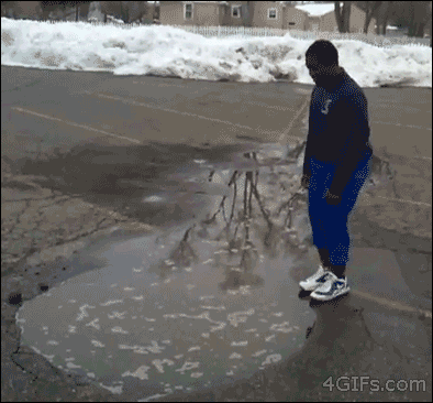 bm8n3gx.gif