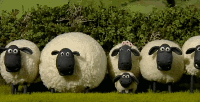 tumblr_njj9lixTAS1smmsbuo5_400.gif