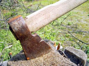 313735_rusty_axe.jpg