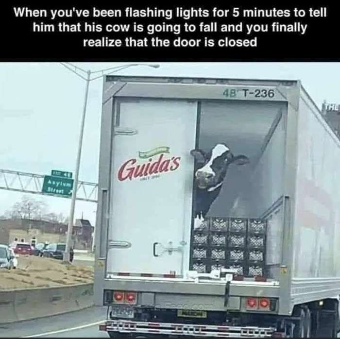 900f24f8741c2fff-jpeg.95755