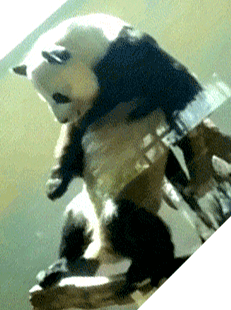 panda-grind.gif