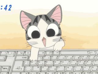 cat.gif