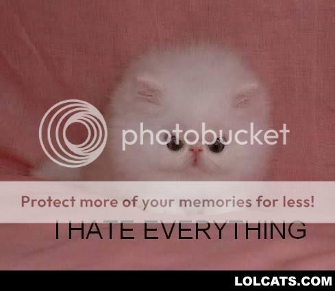 www_lolcats_com_img_815408480626958.jpg