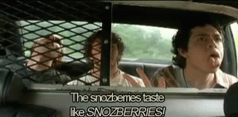 a man sticking his tongue out in a car with the words  the snozberries taste like snozberries  above him
