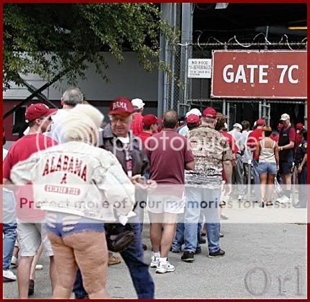 Bammer1.jpg