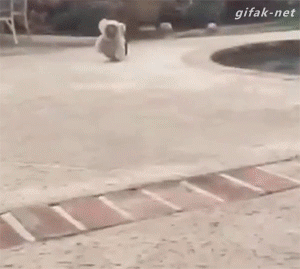 2TGcYPV.gif